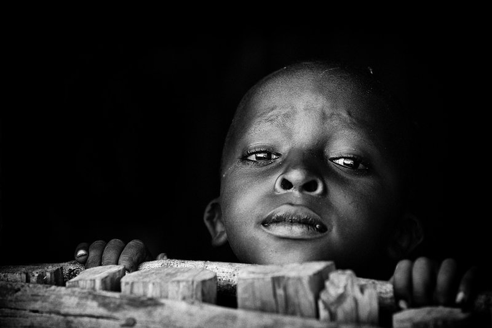 Curious by Goran Jovic