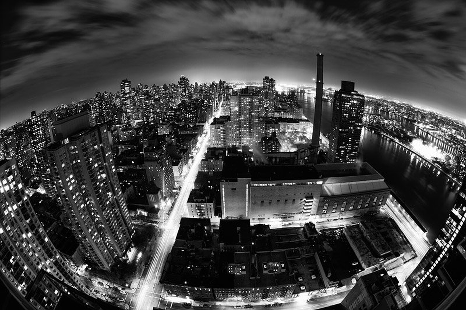 Concrete Jungle by Goran Jovic