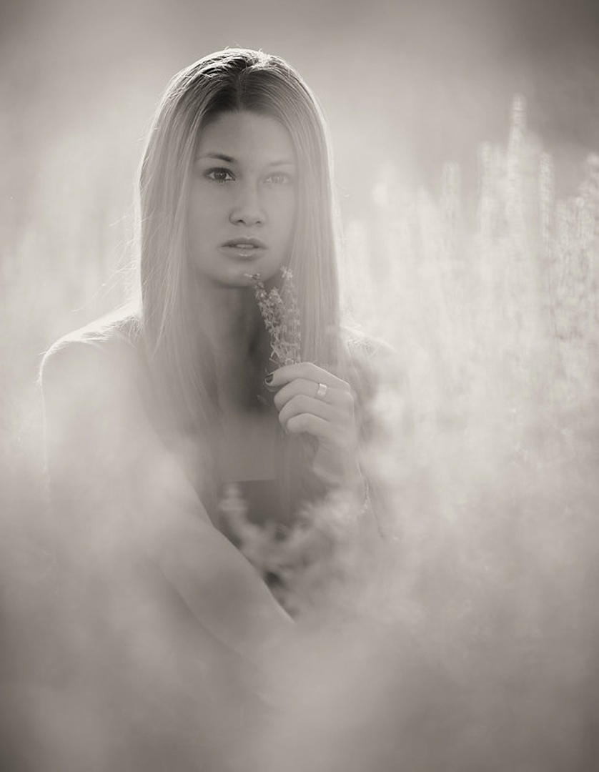 Dream by Goran Jovic