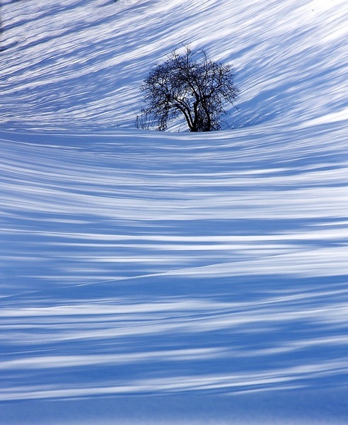 Zimske sence by Rems