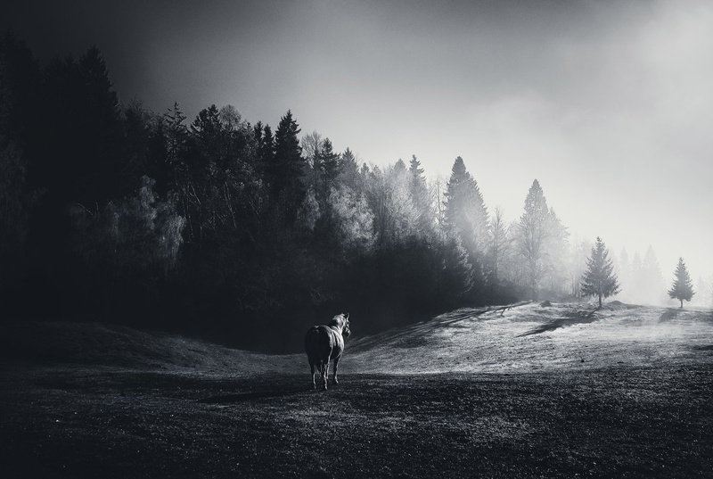 In the morning light by Rems