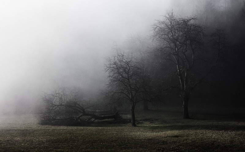 Broken family by Rems