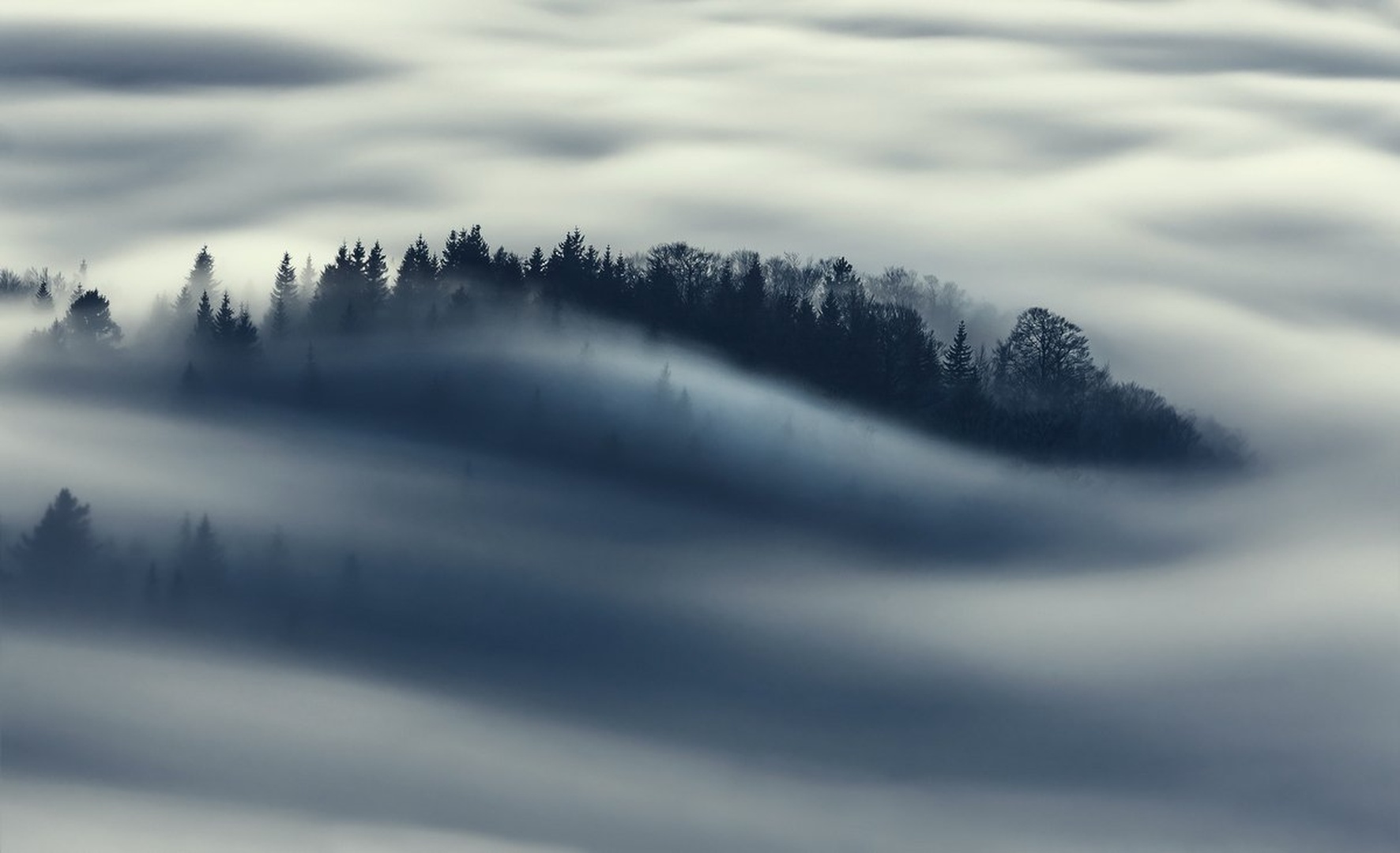 *** by
