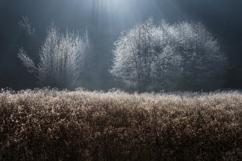 ... by Rems