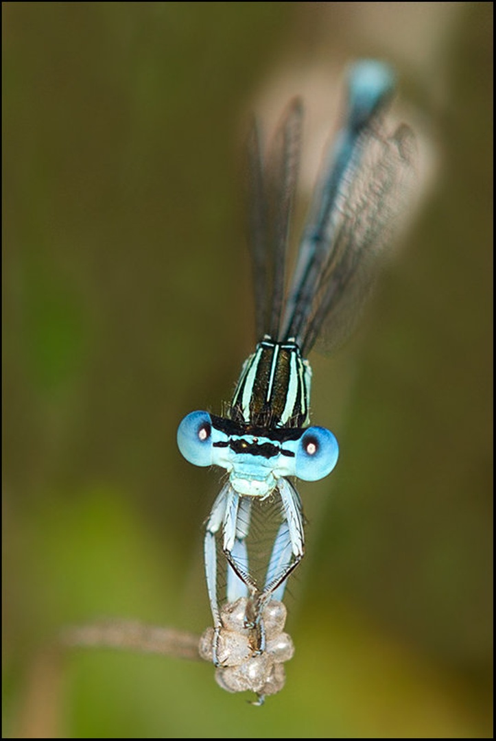Model by Dušan Brezovnik
