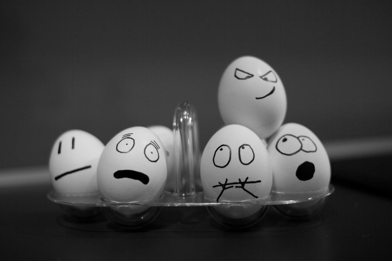 eggz by heiniken
