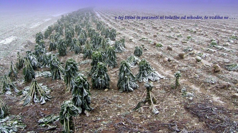 Vzdih jesenskega polja by Arbor Tum