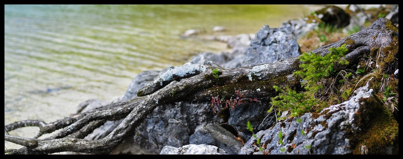 By the lake by NIkonD