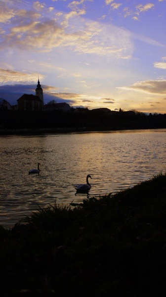 Drava by Tanja FRANK