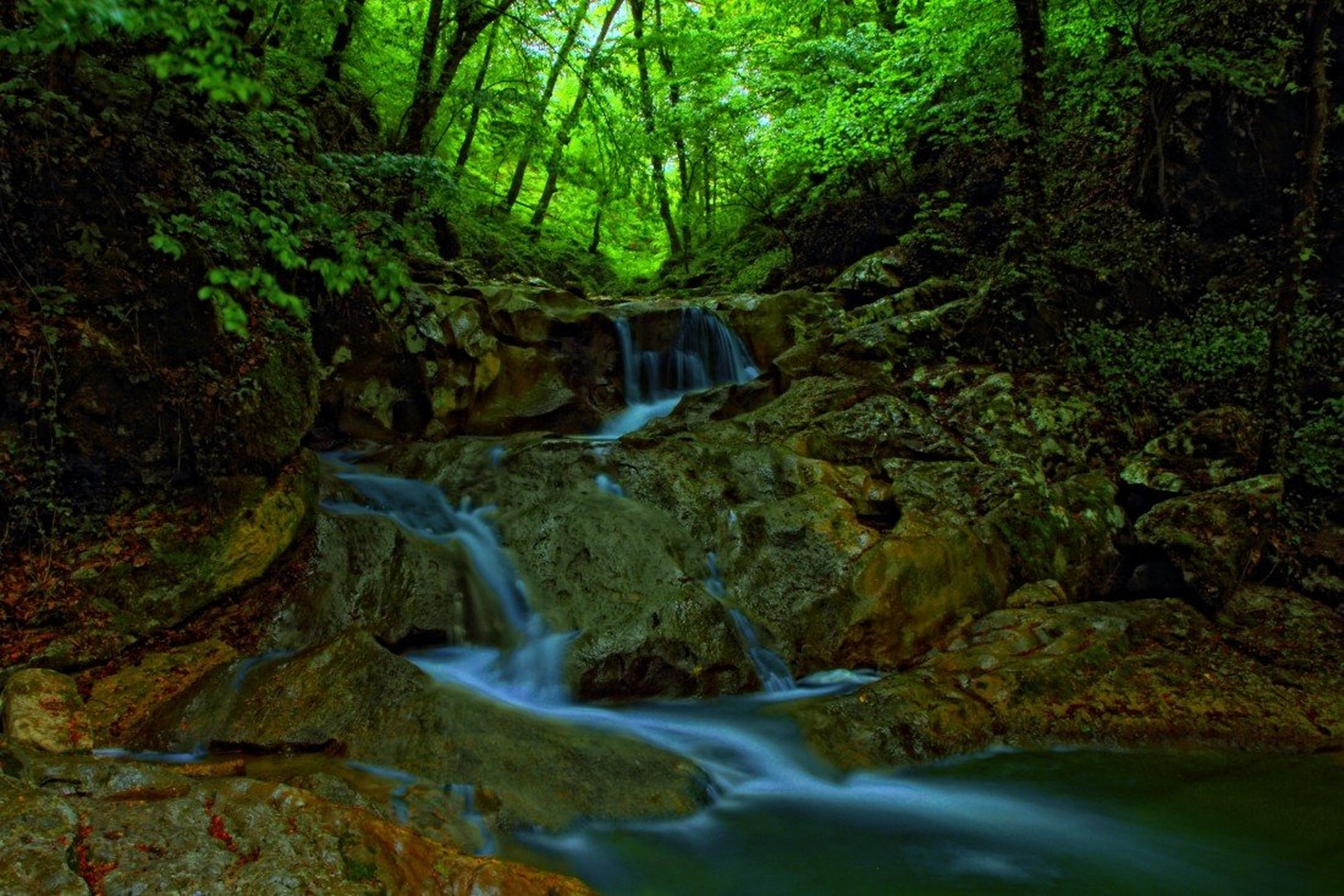 Mistic Forest by lunai.magic@gmail.com