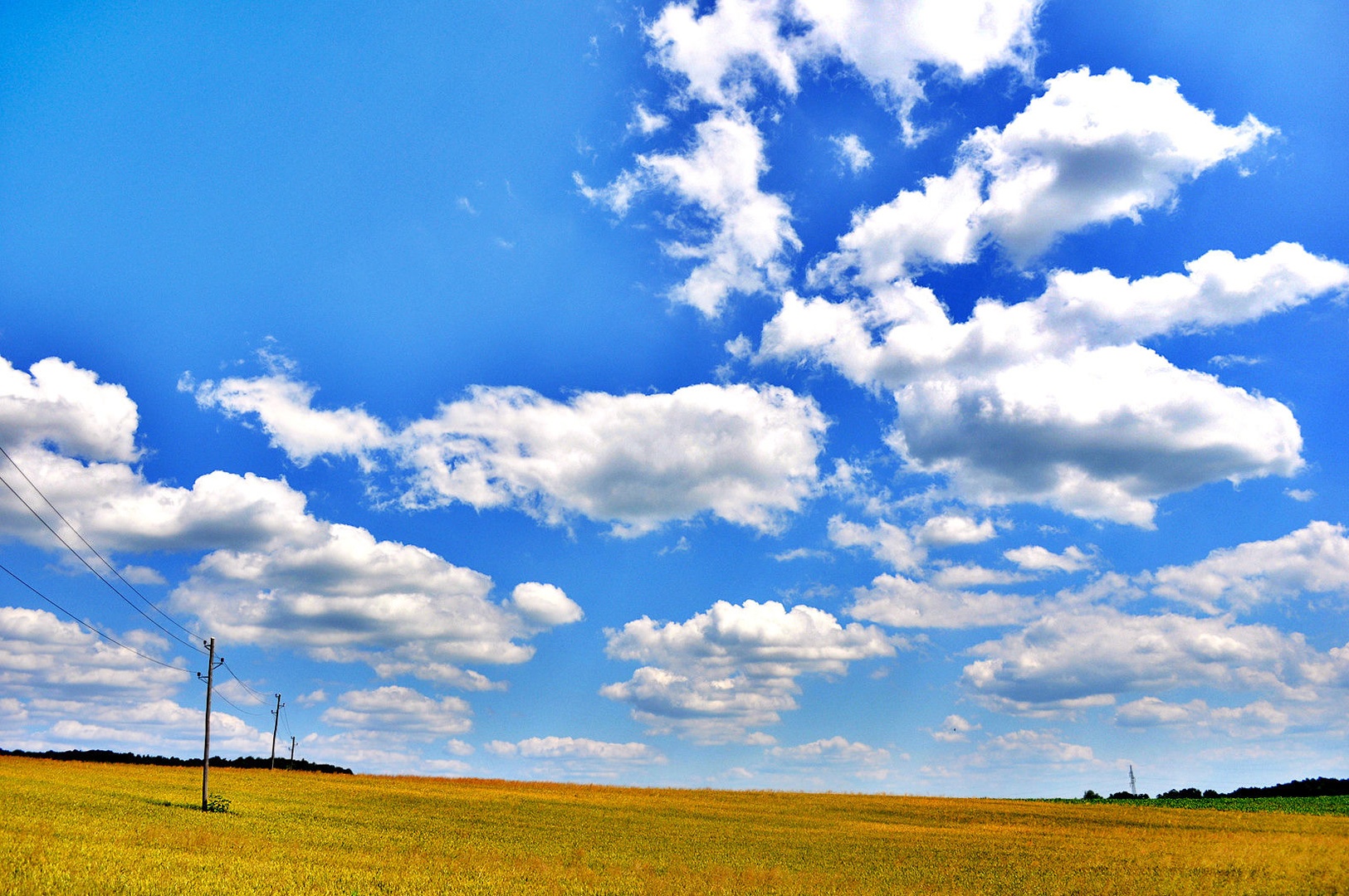 Žitno polje by Tvphotography23