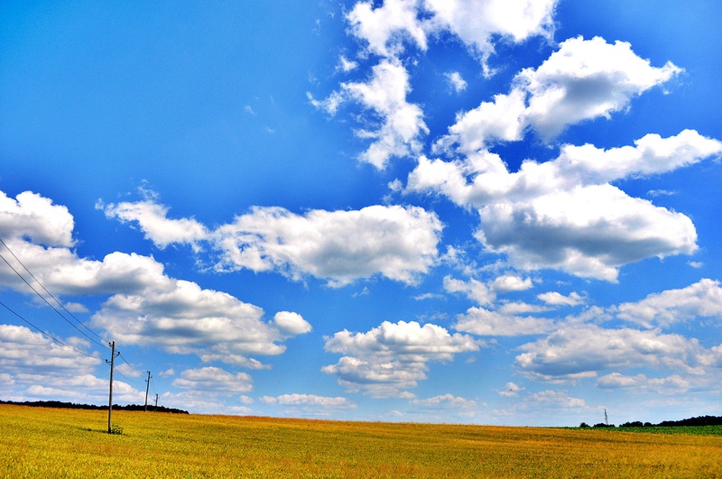 Žitno polje by Tvphotography23