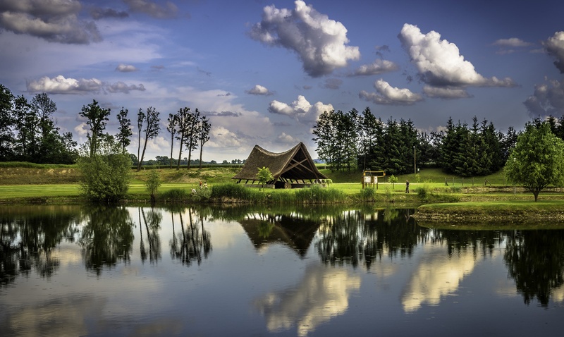 Panonski hrast by AndrejS