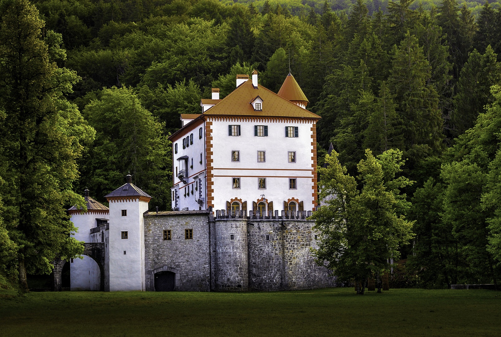 Grad Snežnik by AndrejS