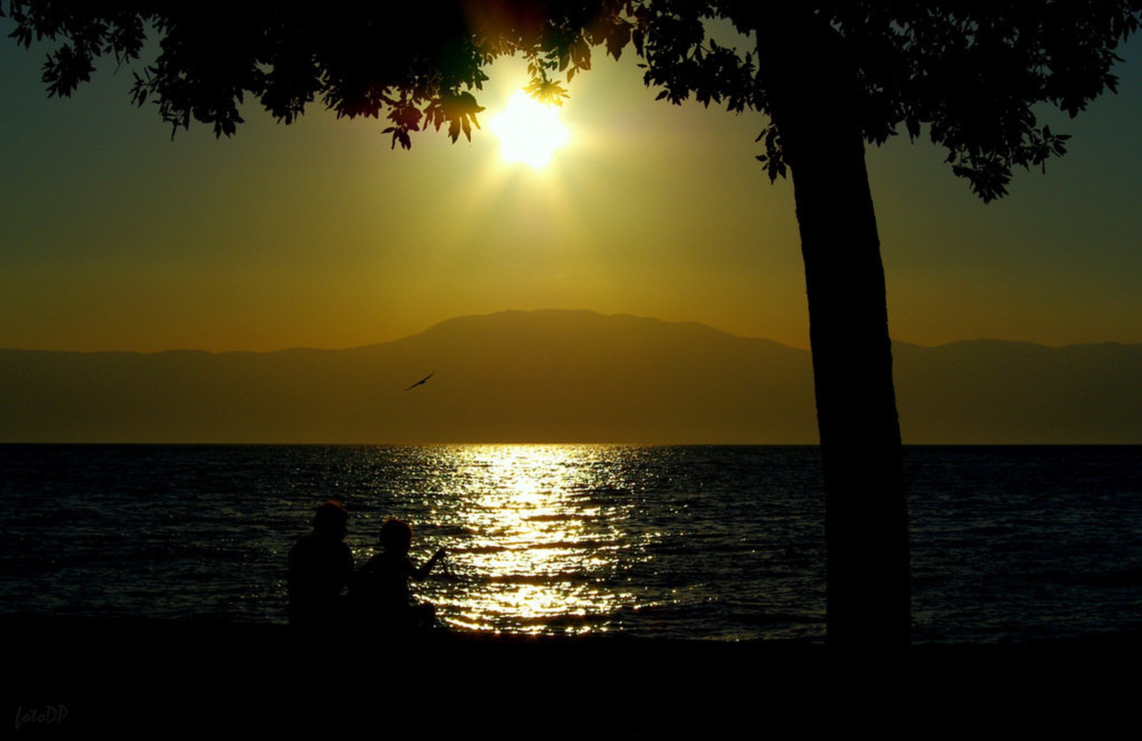 Sonce, voda, zrak, svoboda... by Donat Piber