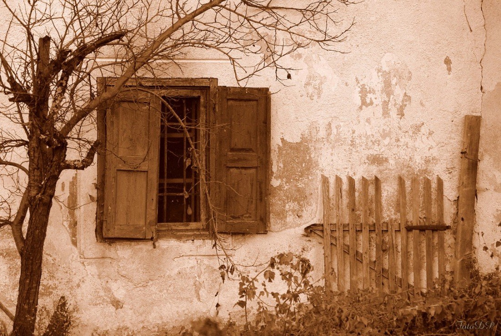 Nikogar več... by Donat Piber