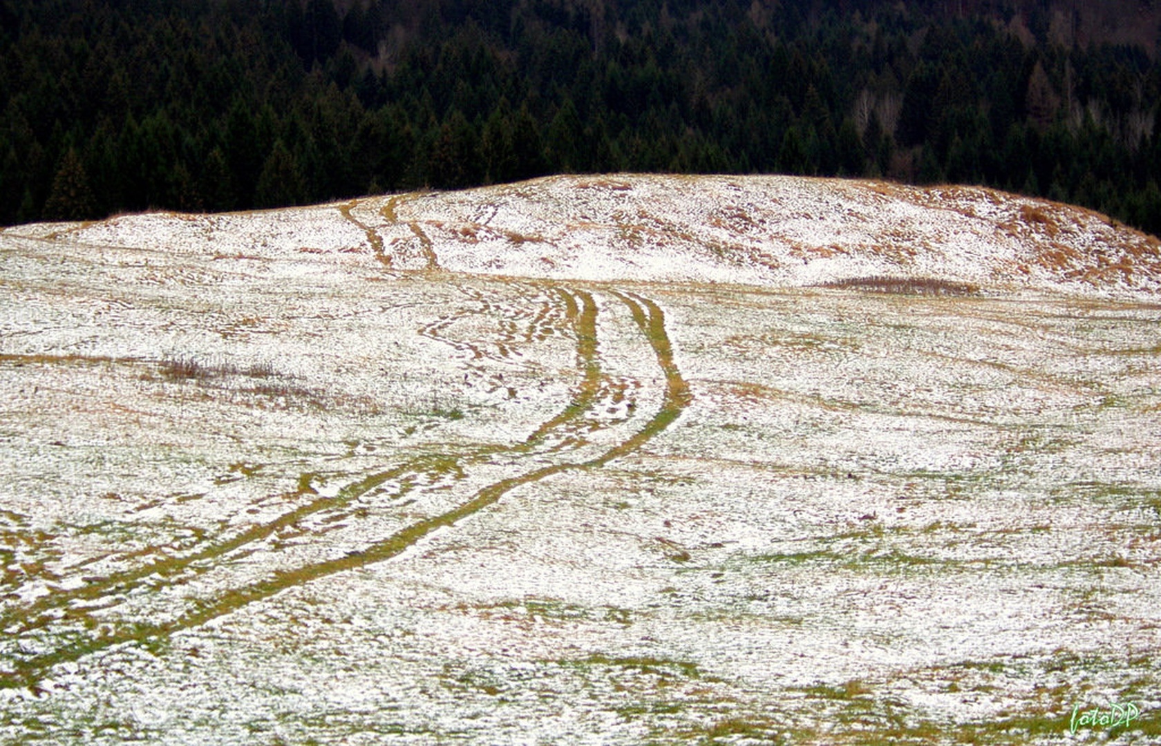 Tja čez... by Donat Piber