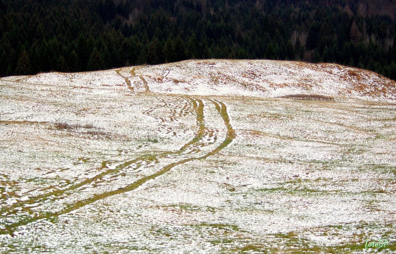 Tja čez... by Donat Piber