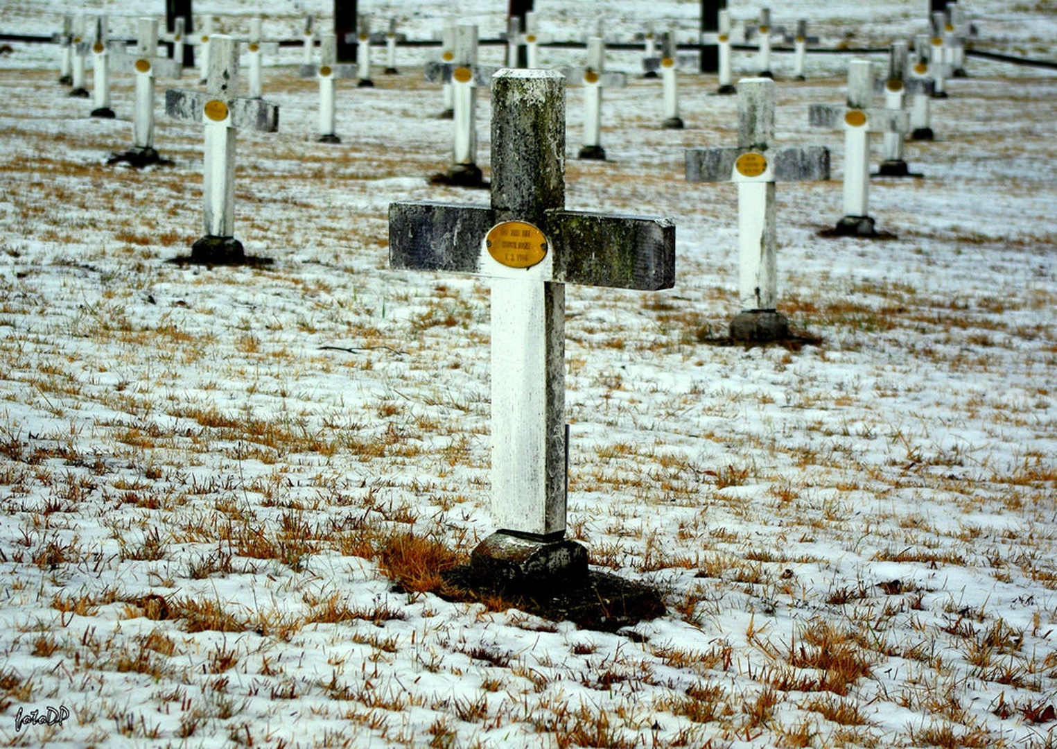 Kljubujemo in vztrajamo... by Donat Piber
