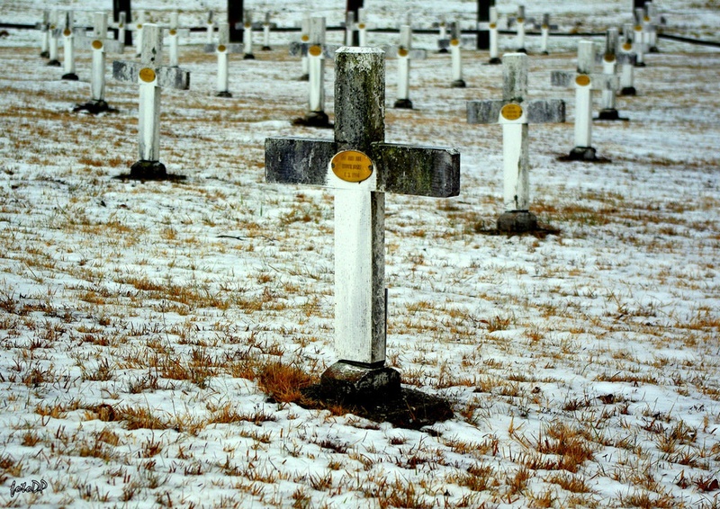 Kljubujemo in vztrajamo... by Donat Piber