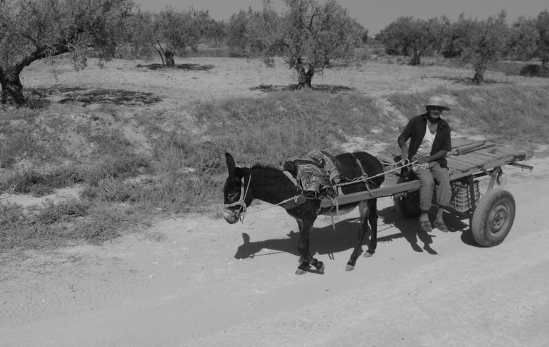 puščavski transport by Vanja Bombek