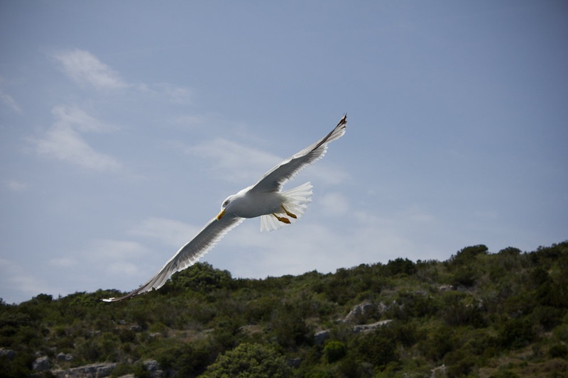 aviacija by Matjaž Furlan