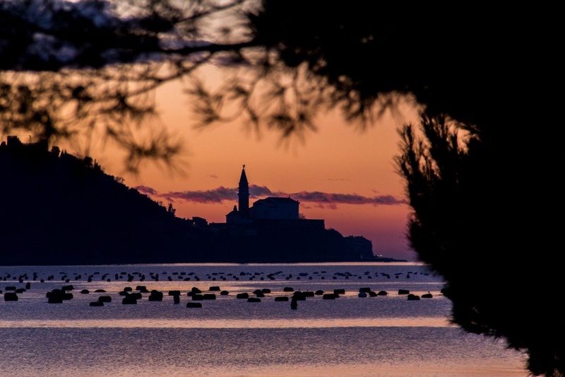 Piran by Miklavž Grmek