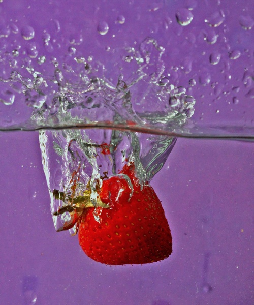 Splash! by Laura Maleš