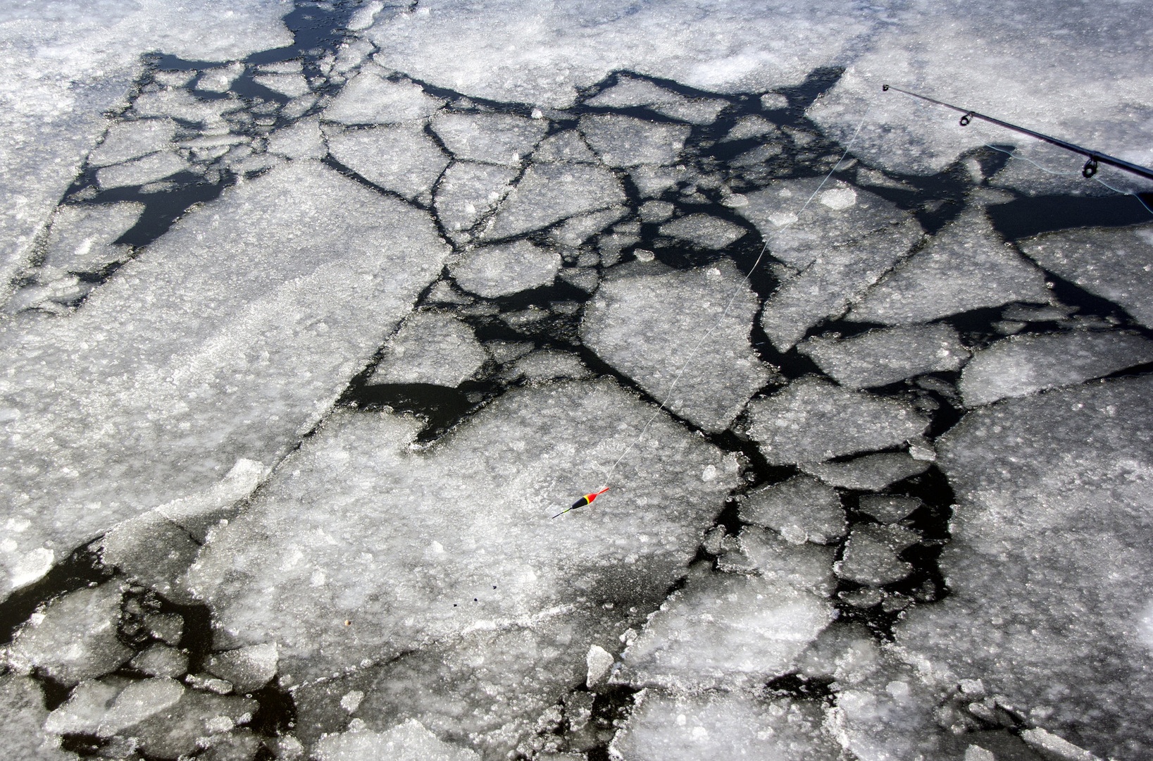 Ice Fishing by Laura Maleš