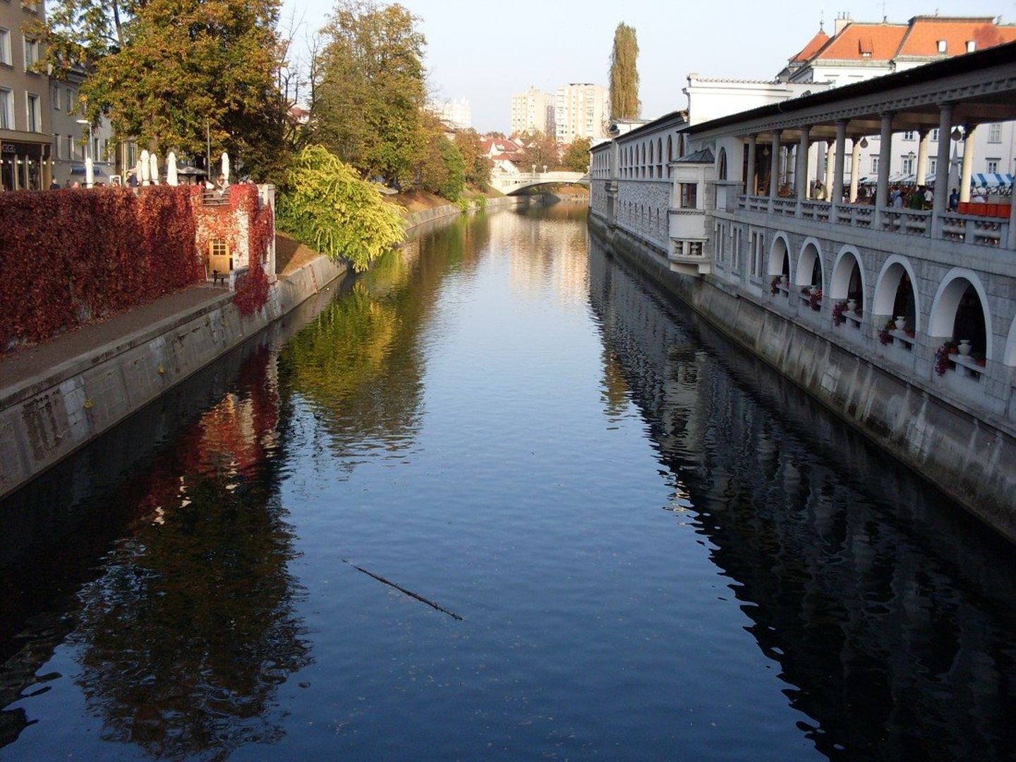 Ljubljanica by Dragan Vampola