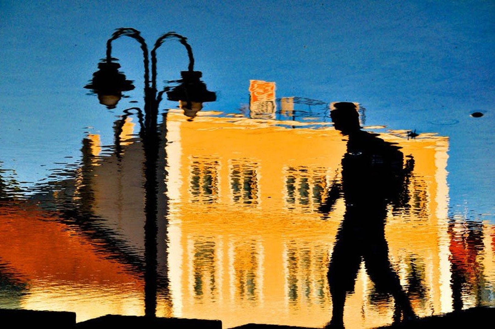 REFLECTION by goran