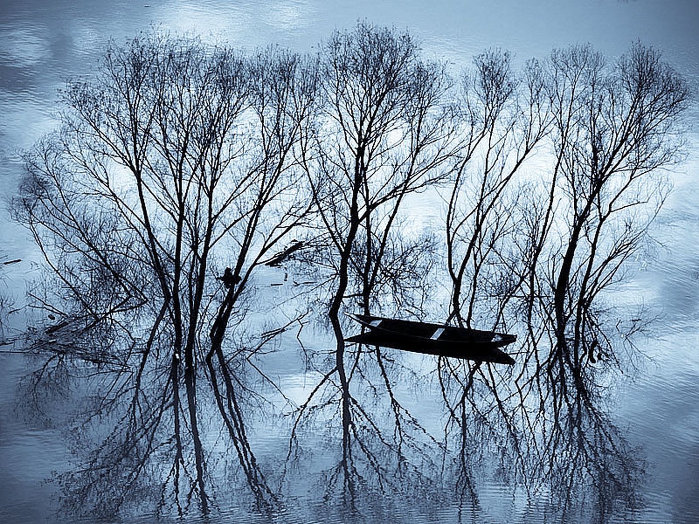 u carstvu sjenki... by goran
