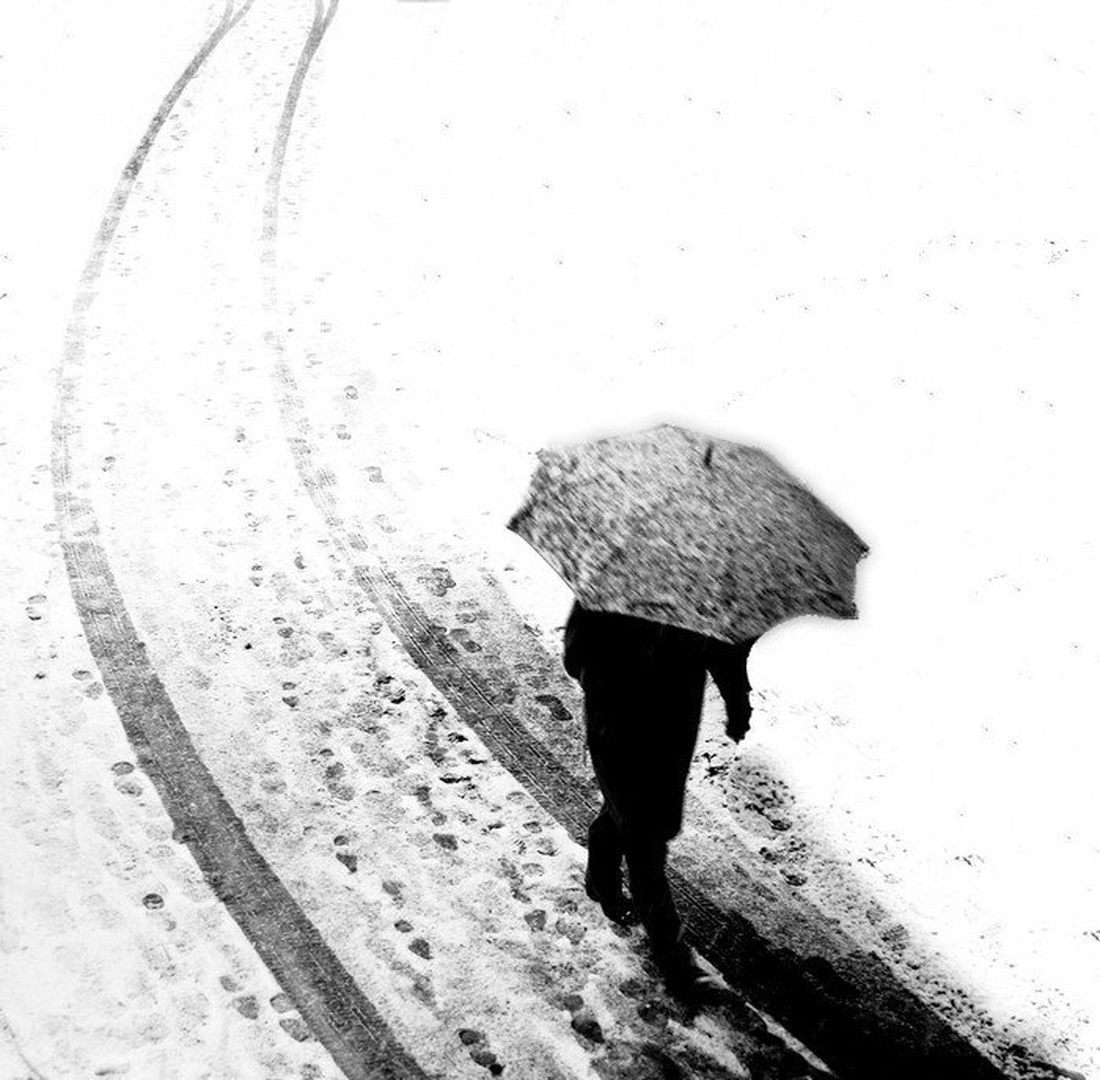 setac... by goran