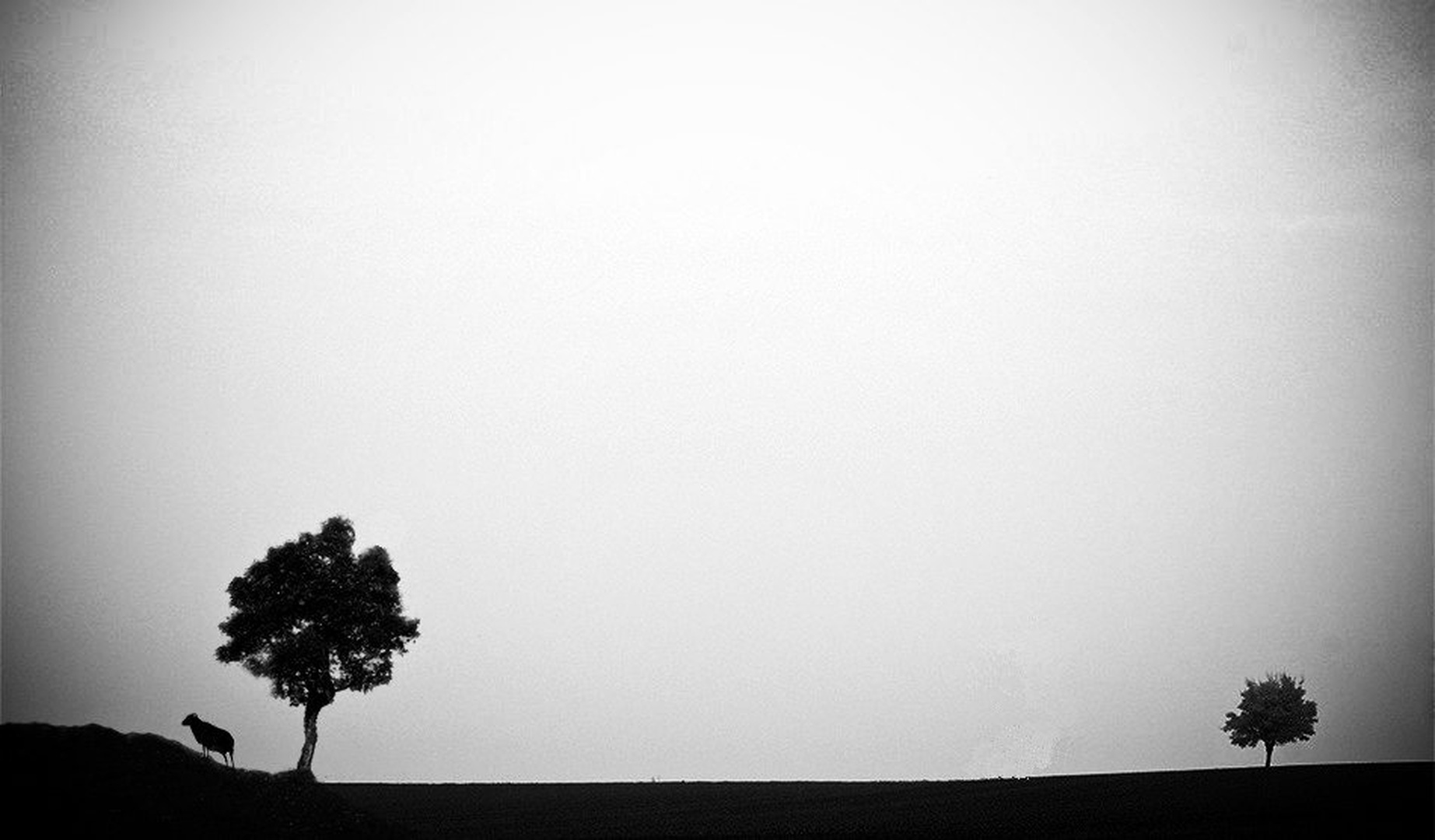 na kraju dana... by goran