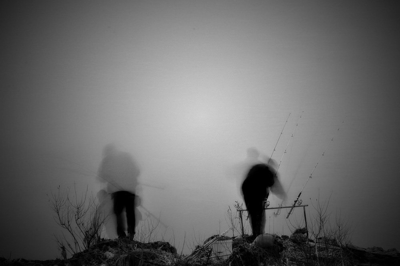 pecaroska posla... by goran