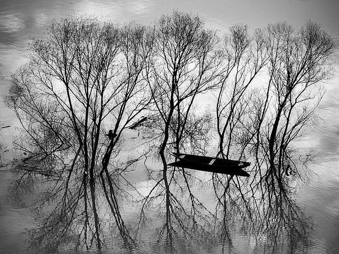 u carstvu sjenki... by goran