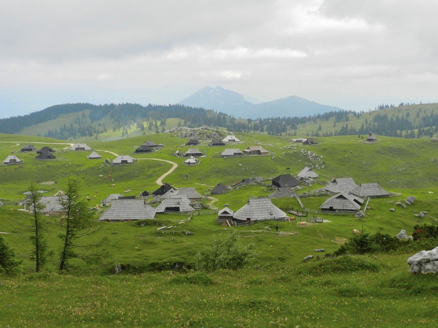 Velika Planina by vedno anonimnež