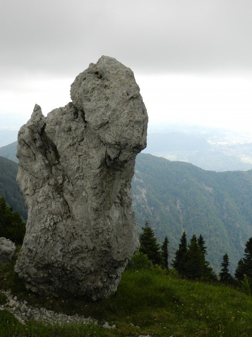 okameneli mož by vedno anonimnež
