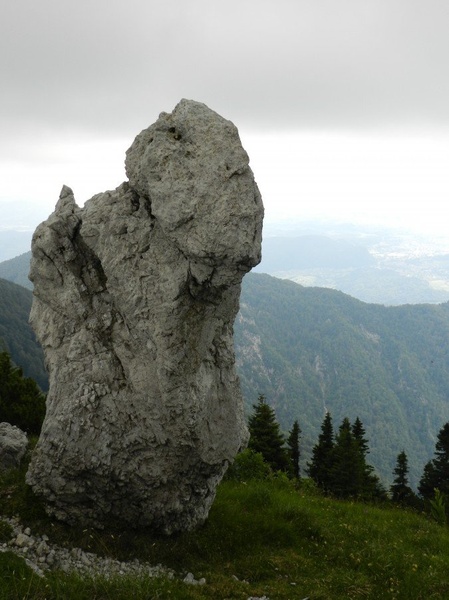 okameneli mož by vedno anonimnež