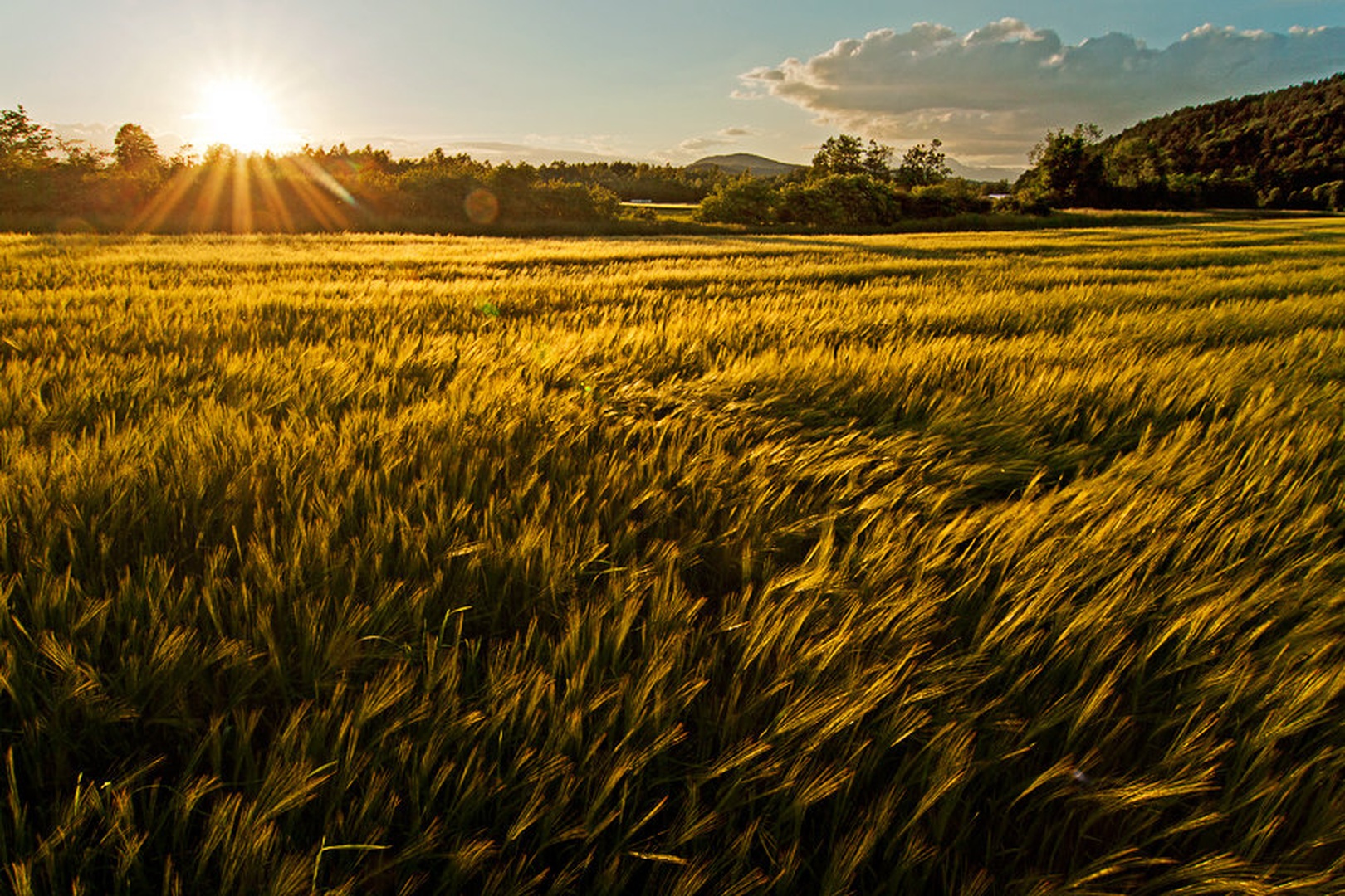 The Golden Hour by Miha Mozer