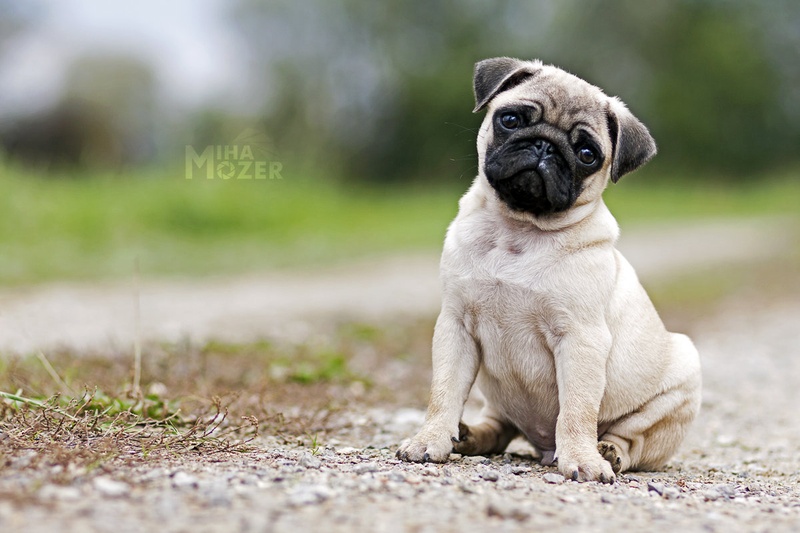 "How You Doin" by Miha Mozer