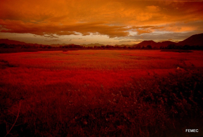 LANKA by INLE