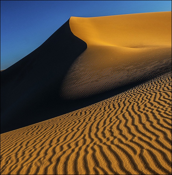Dune by dam-yan