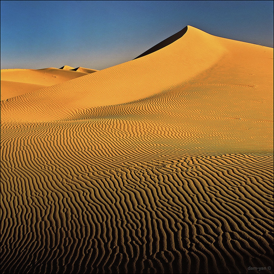 Dunes of Sahara by