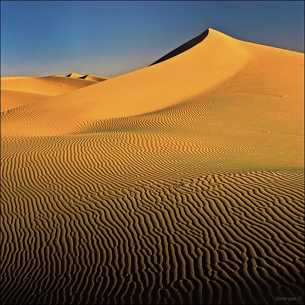 Dunes of Sahara by dam-yan