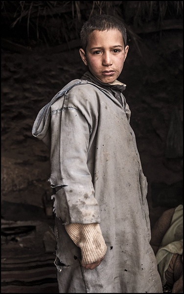 Berber by dam-yan