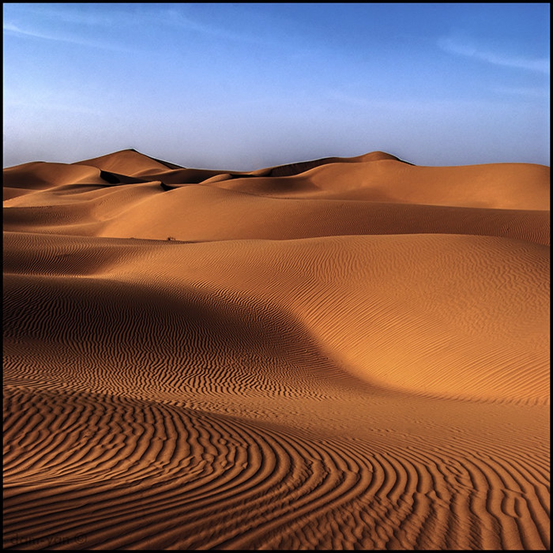 Dunes by
