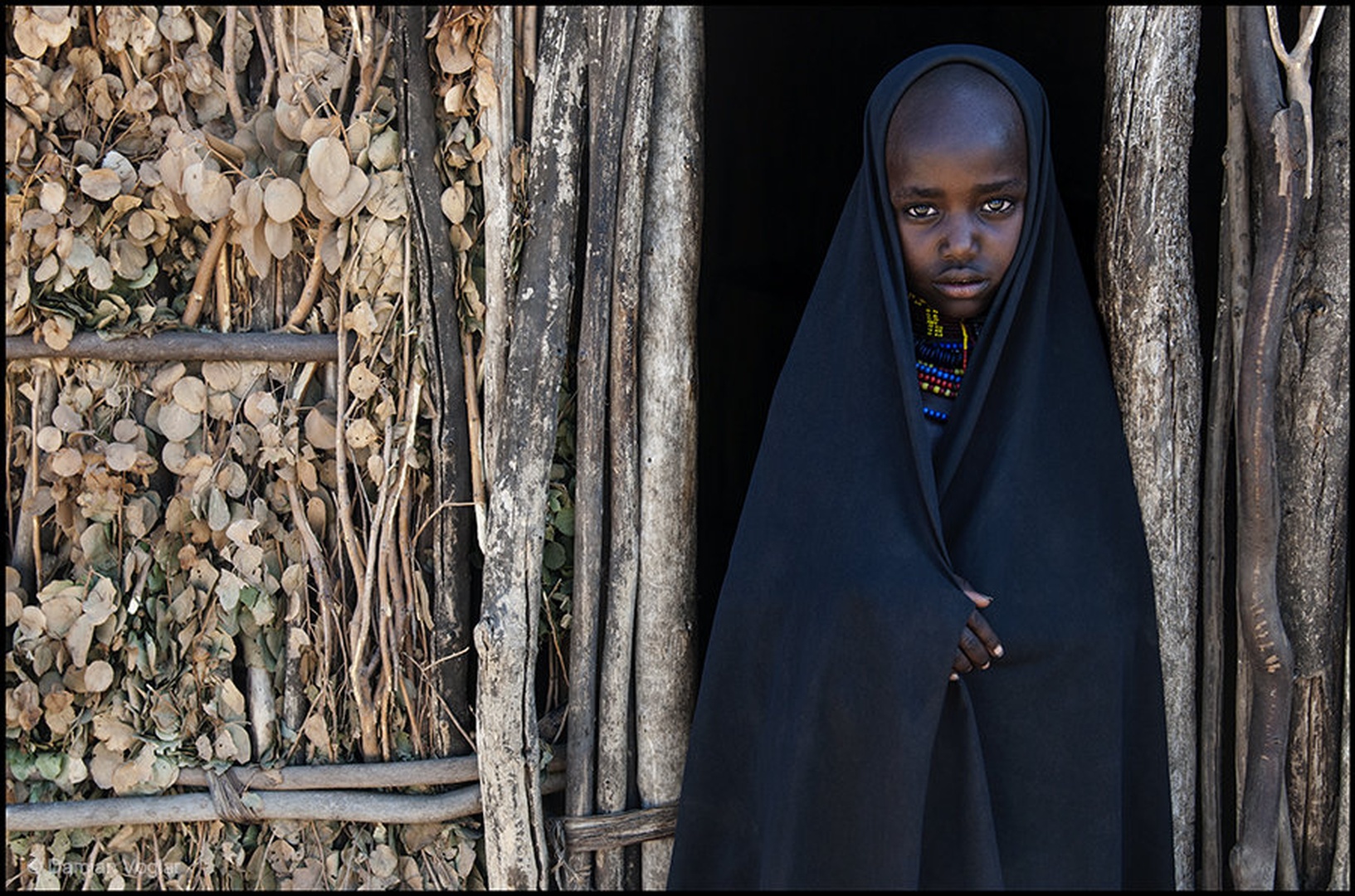 Arbore Child by