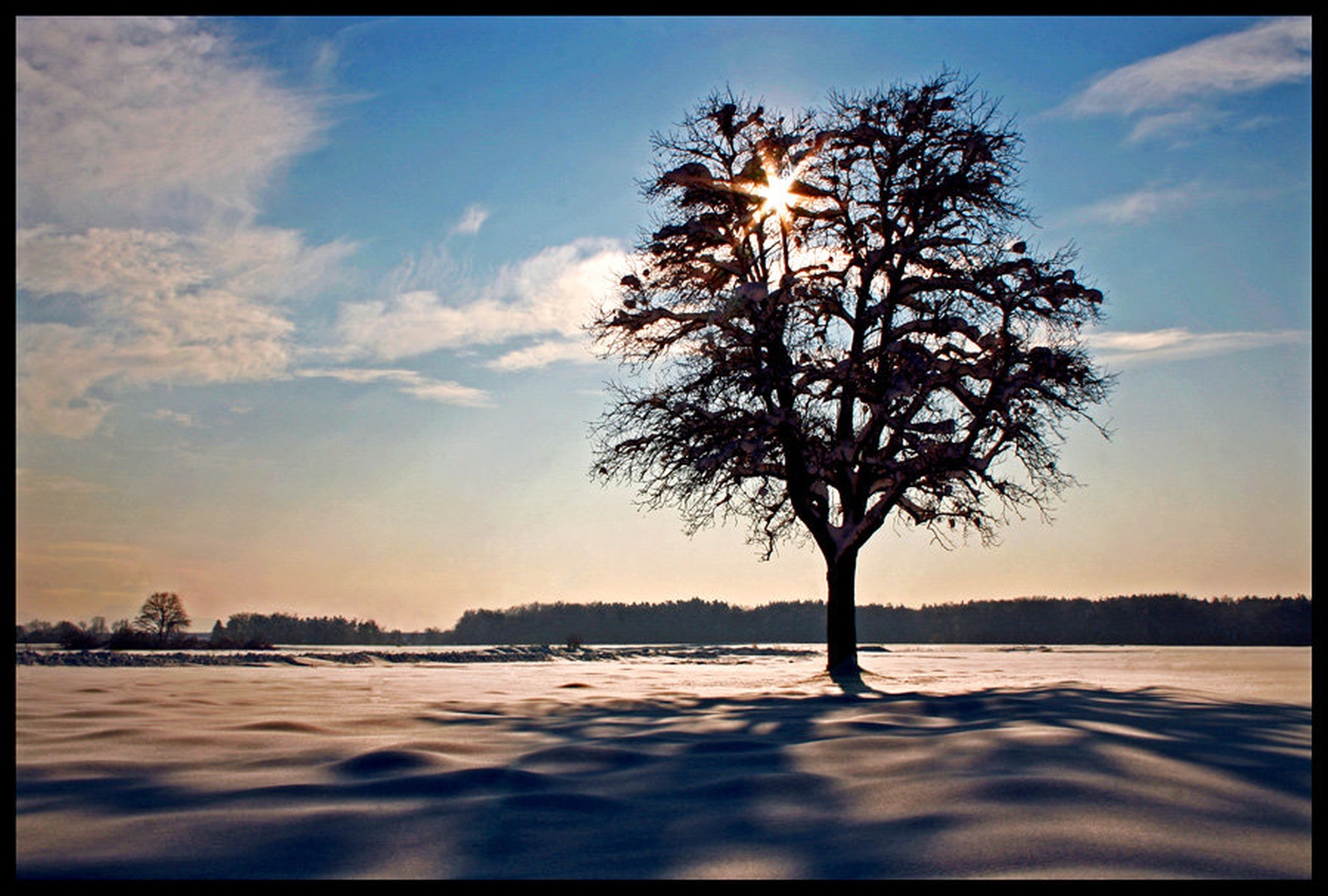 Lonesome by