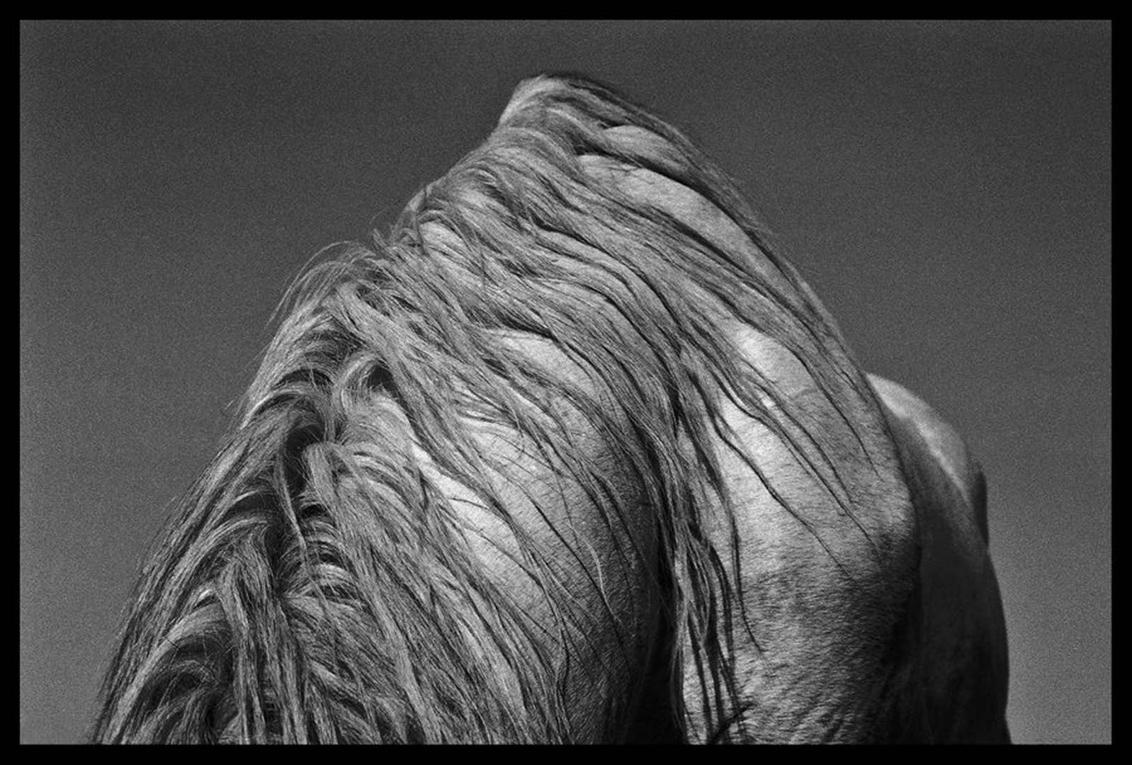 Backbone by
